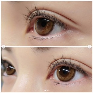 Miche Bloomin No.203 OliveBrown 30片裝